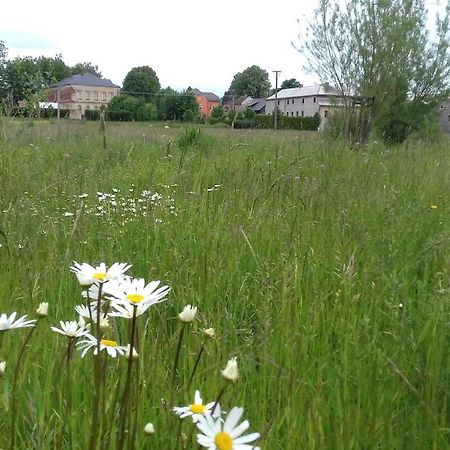 Apartman Lipova Appartement Ludvikovicky Buitenkant foto